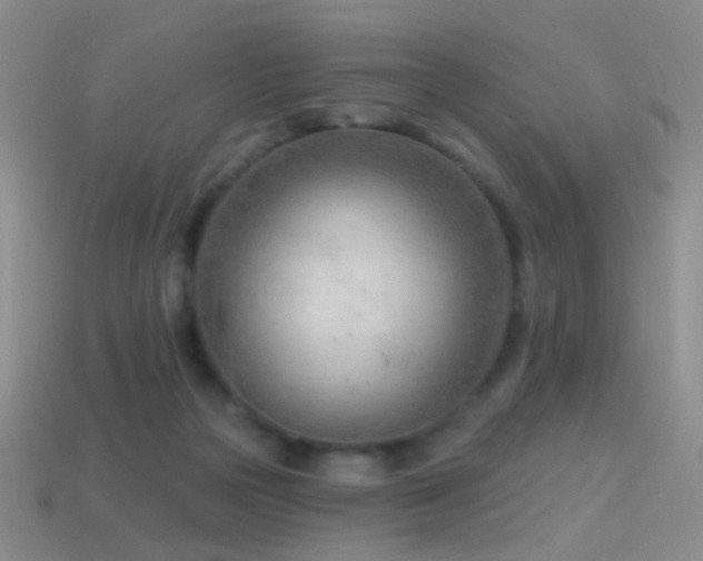 X0000114400169200910161323