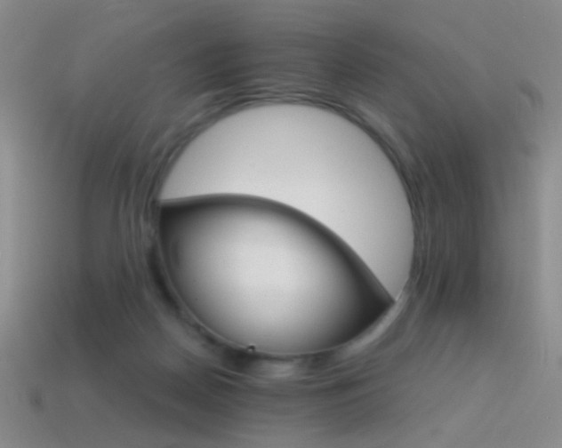 X0000114400170200910161323