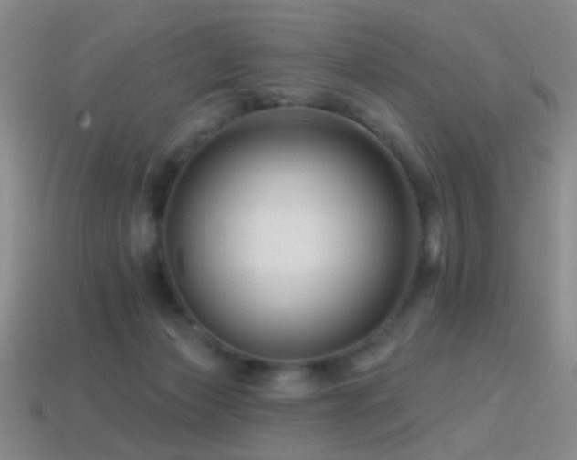 X0000114400173200910161323