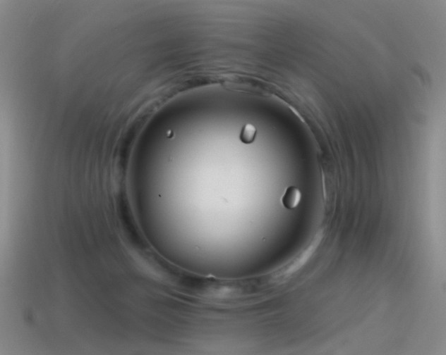 X0000114400174200910161323