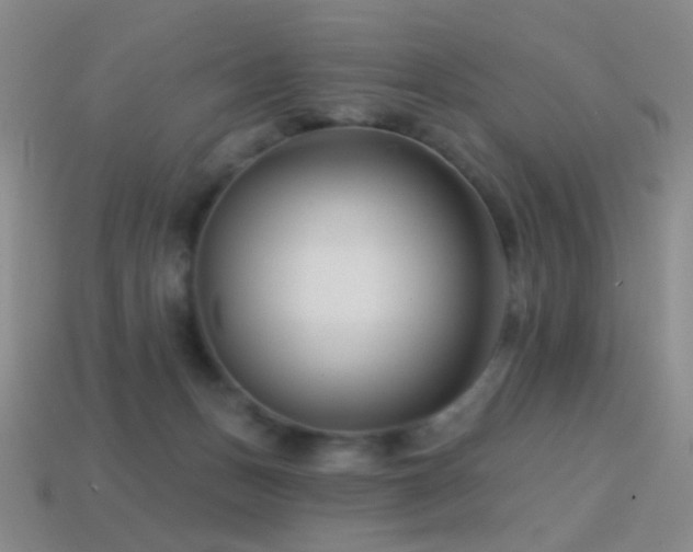 X0000114400175200910161323