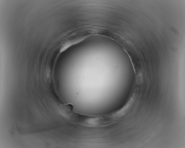 X0000114400178200910161323