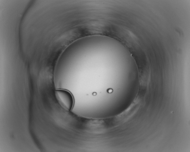 X0000114400179200910161323