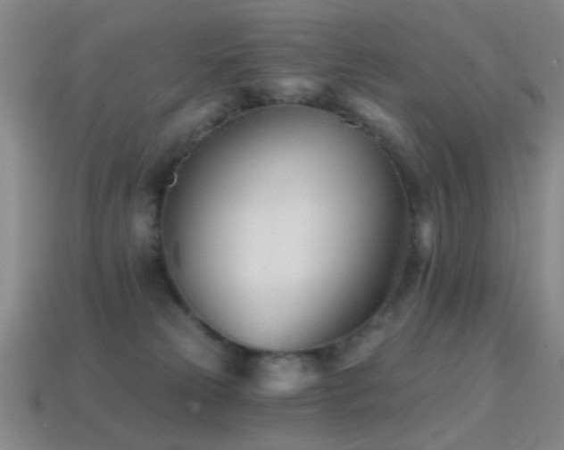 X0000114400181200910161323