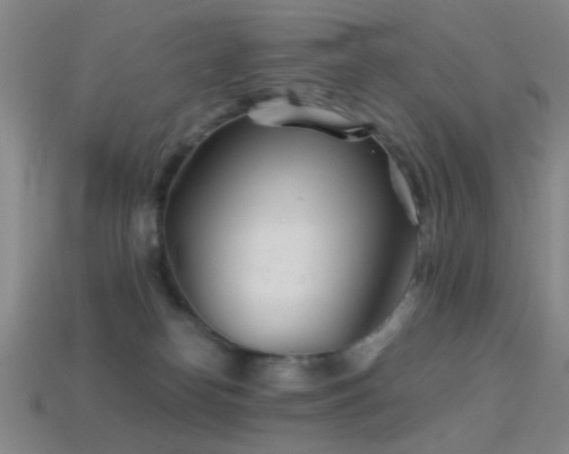 X0000114400182200910161323