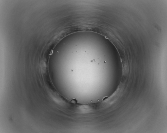 X0000114400183200910161323