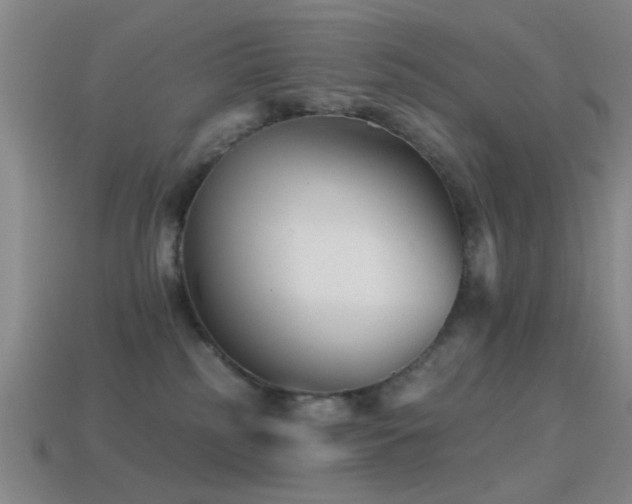 X0000114400185200910161323