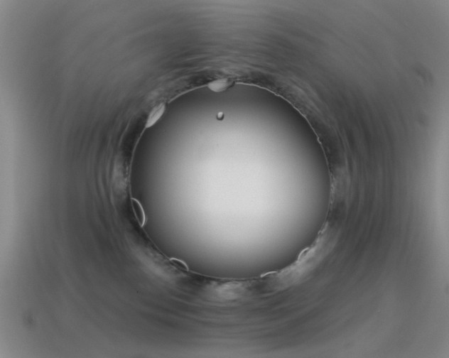 X0000114400186200910161323