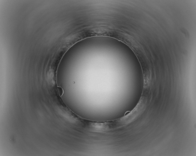 X0000114400187200910161323