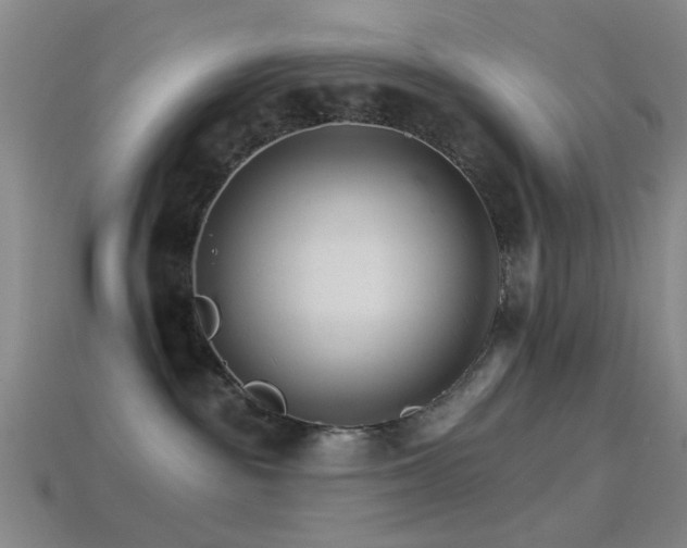 X0000114400189200910161323