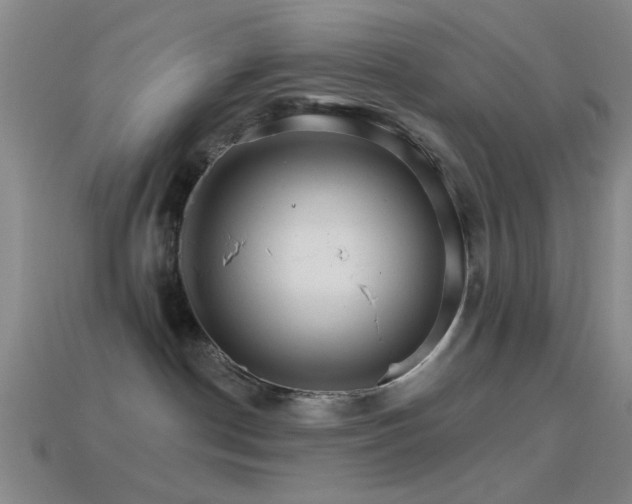 X0000114400190200910161323