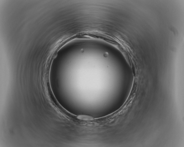 X0000114400193200910161323