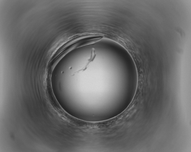 X0000114400194200910161323