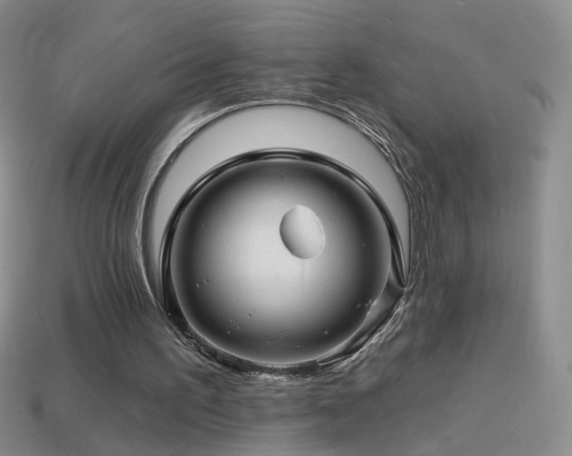 X0000114400195200910161323