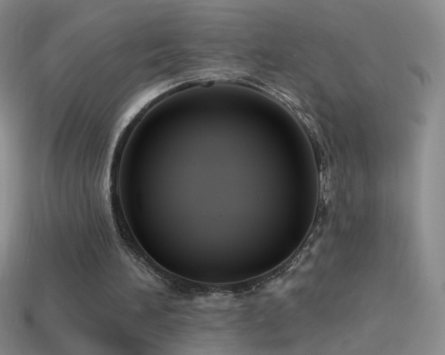 X0000114400196200910161323