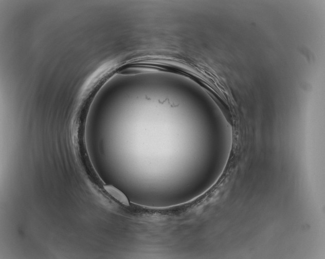 X0000114400197200910161322