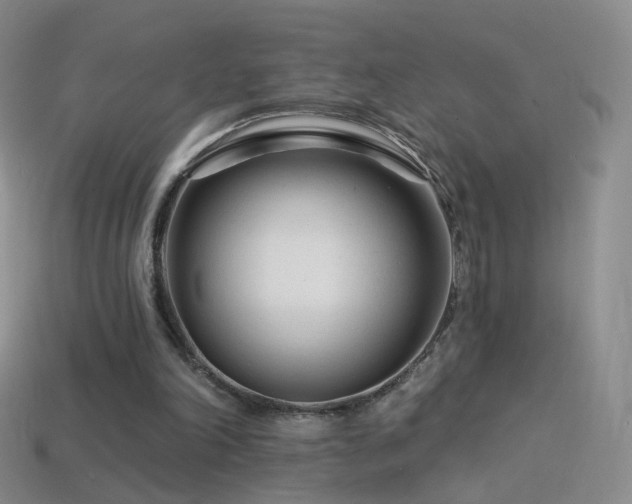 X0000114400198200910161322