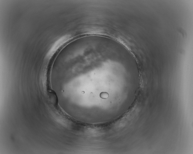 X0000114400199200910161322