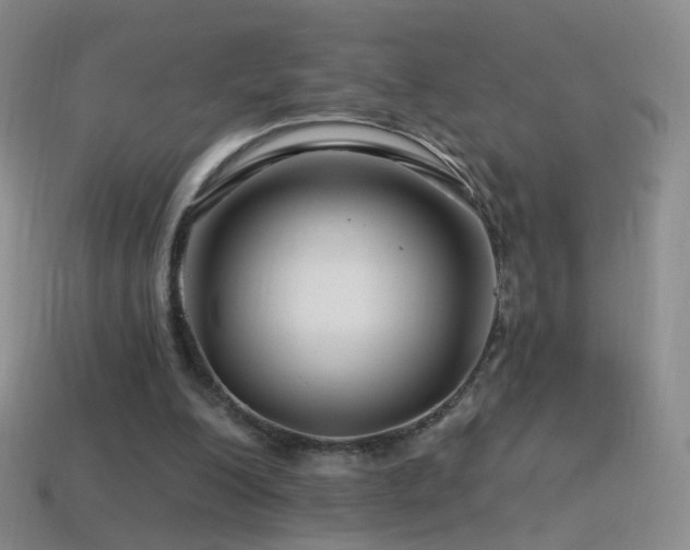 X0000114400200200910161322