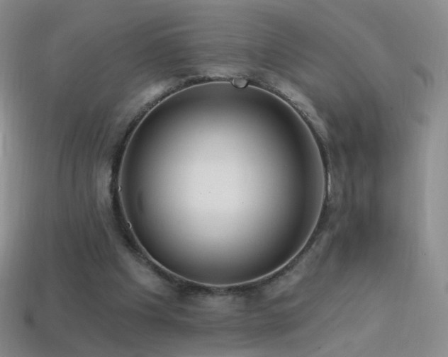 X0000114400201200910161322