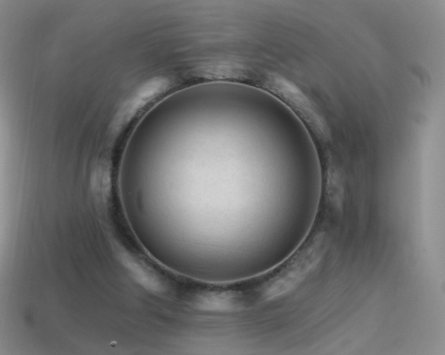 X0000114400202200910161322