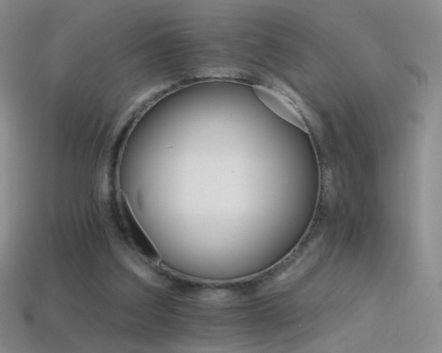 X0000114400203200910161322