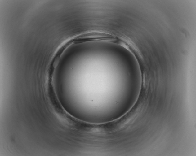 X0000114400204200910161322