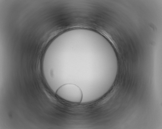 X0000114400205200910161322