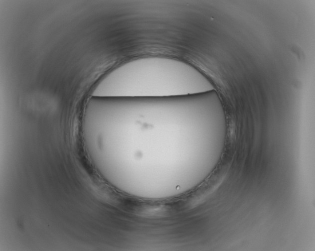 X0000114400206200910161322