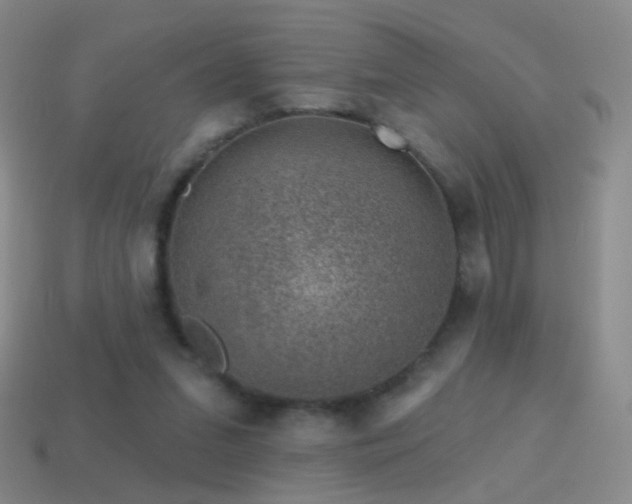 X0000114400207200910161322