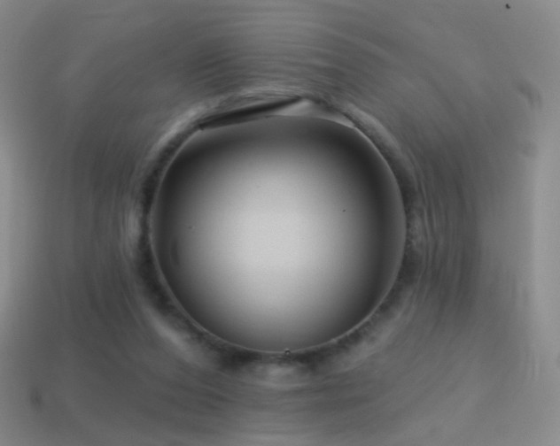 X0000114400208200910161322