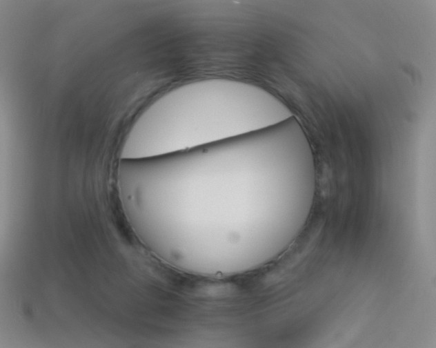 X0000114400210200910161322