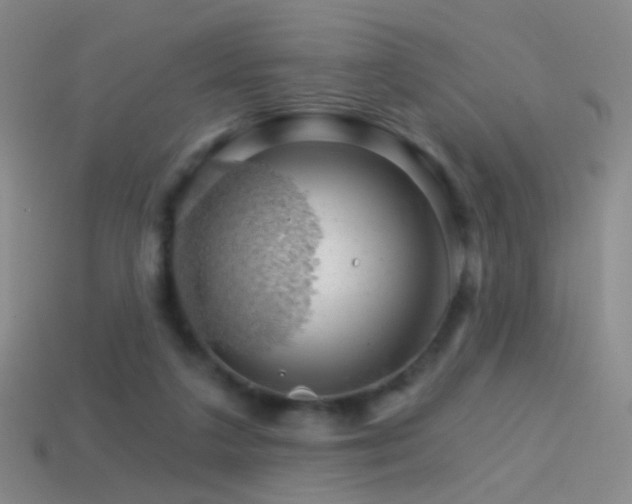 X0000114400211200910161322