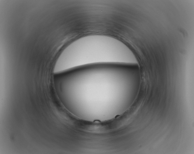 X0000114400212200910161322