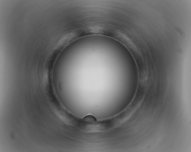 X0000114400213200910161322