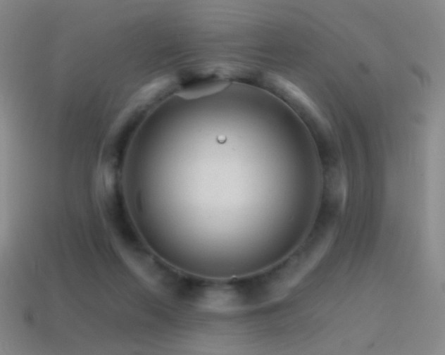 X0000114400214200910161322