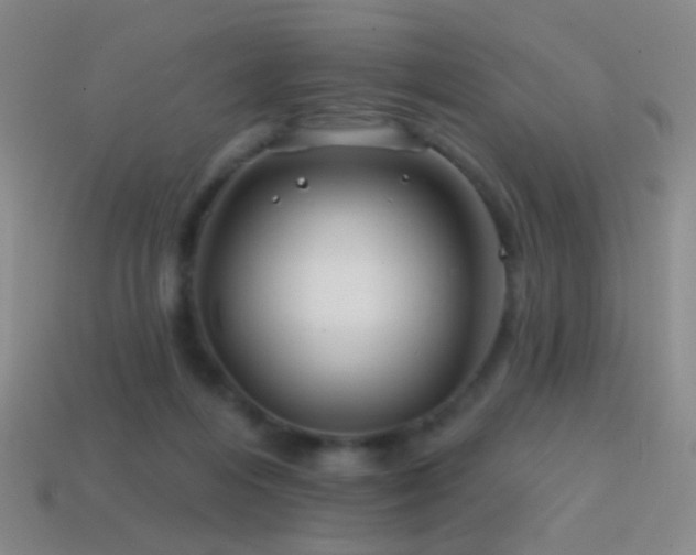 X0000114400216200910161322