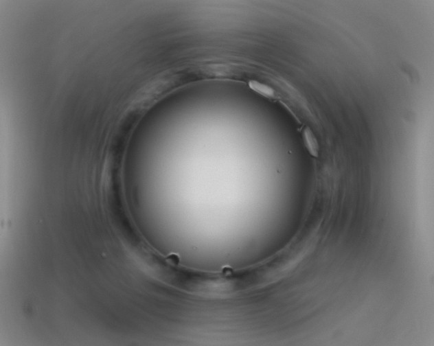 X0000114400217200910161322