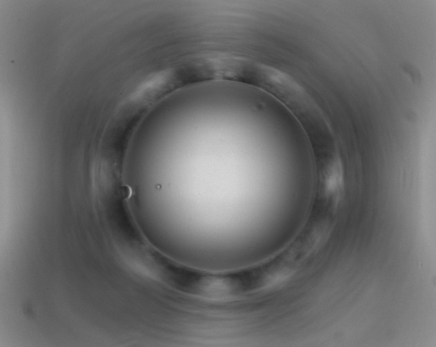 X0000114400218200910161322