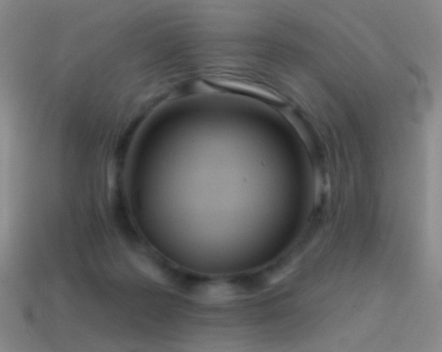 X0000114400219200910161322