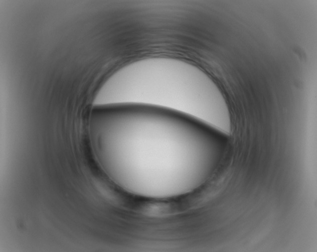 X0000114400220200910161322