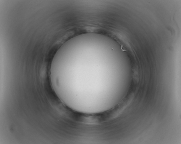 X0000114400221200910161322