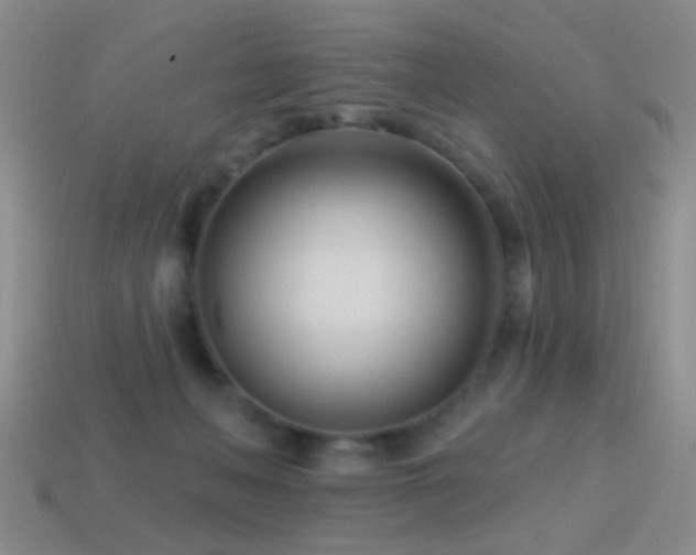 X0000114400222200910161322