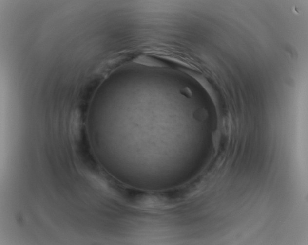 X0000114400223200910161322