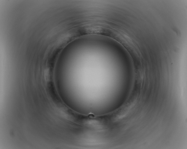 X0000114400224200910161322