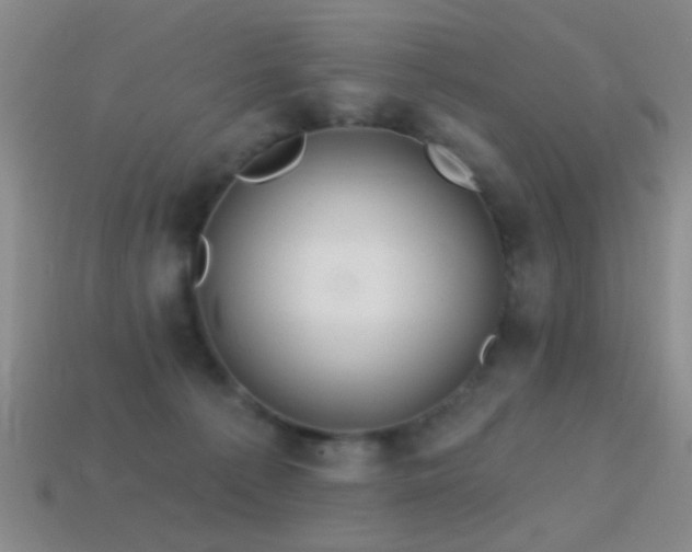 X0000114400225200910161322