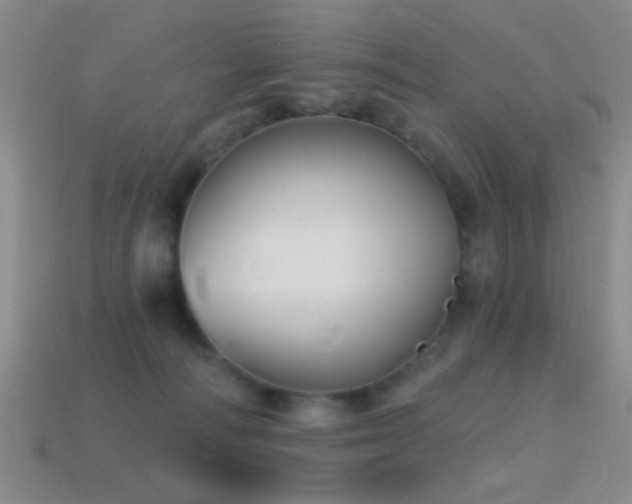 X0000114400226200910161322