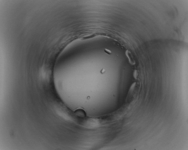 X0000114400227200910161322