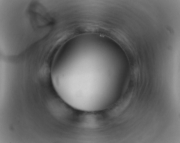 X0000114400228200910161322