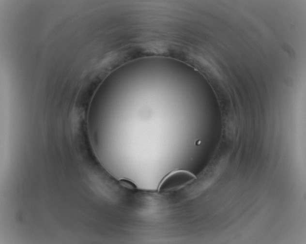 X0000114400229200910161322